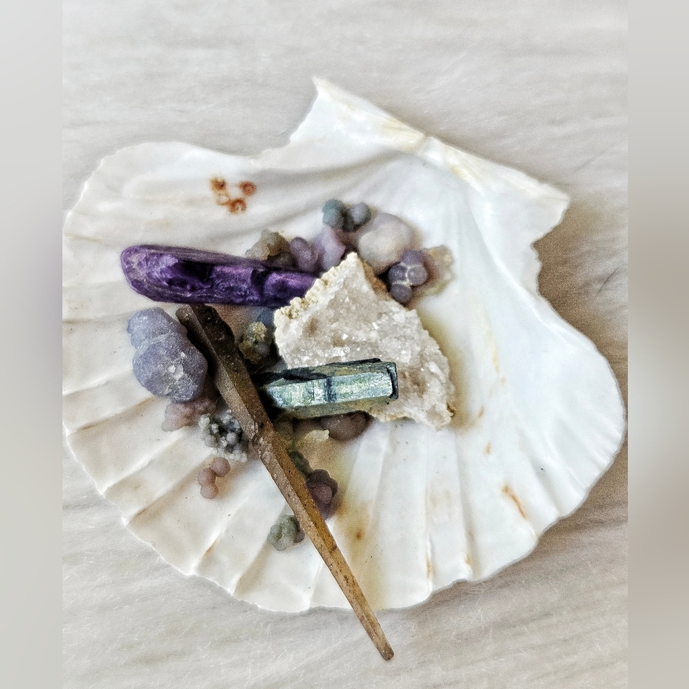 Rare Specimens Bundle